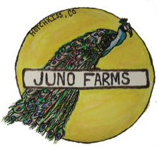 Juno Farms hand-painted peacock logo, Hotchkiss CO
